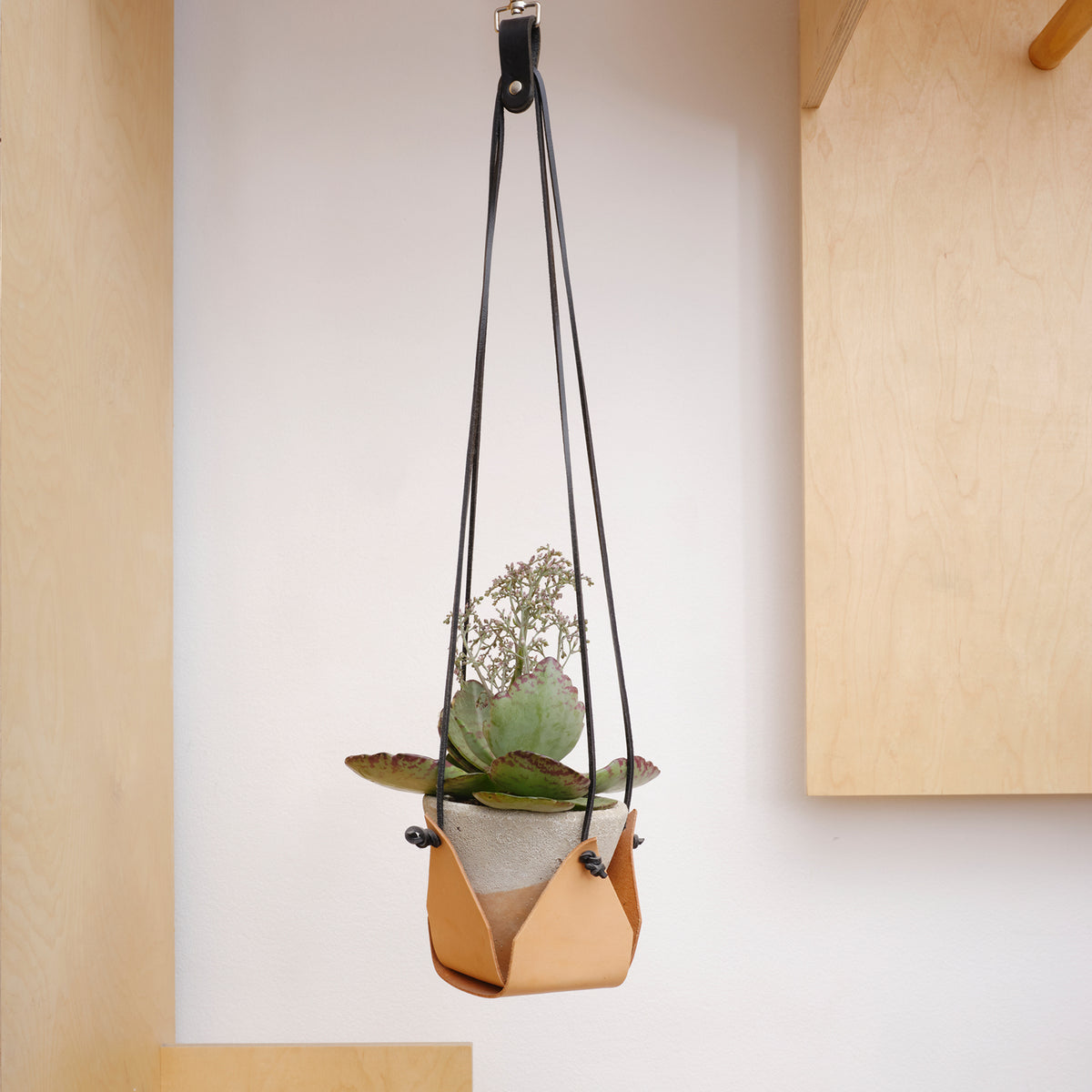 leather macrame plant hanger Nude Plant Hanger – Kate Sheridan