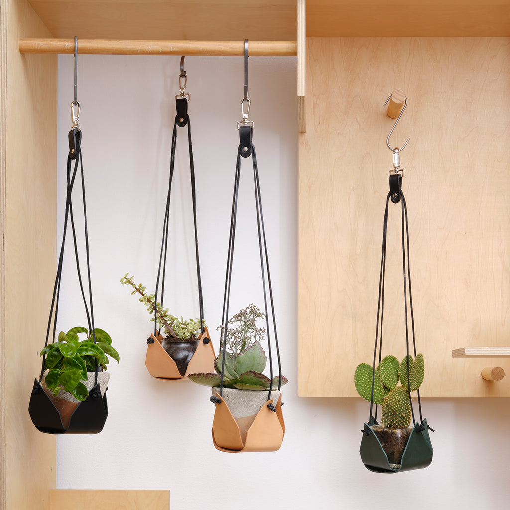 plant hanger with hook Black Plant Hanger – Kate Sheridan